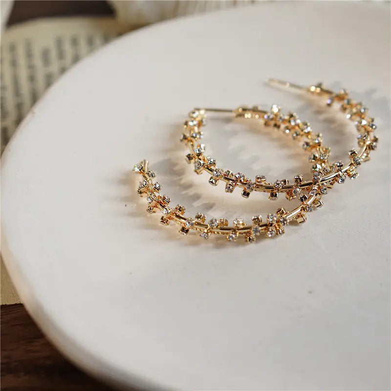 Rhinestone Wrapped Big Earrings for Women