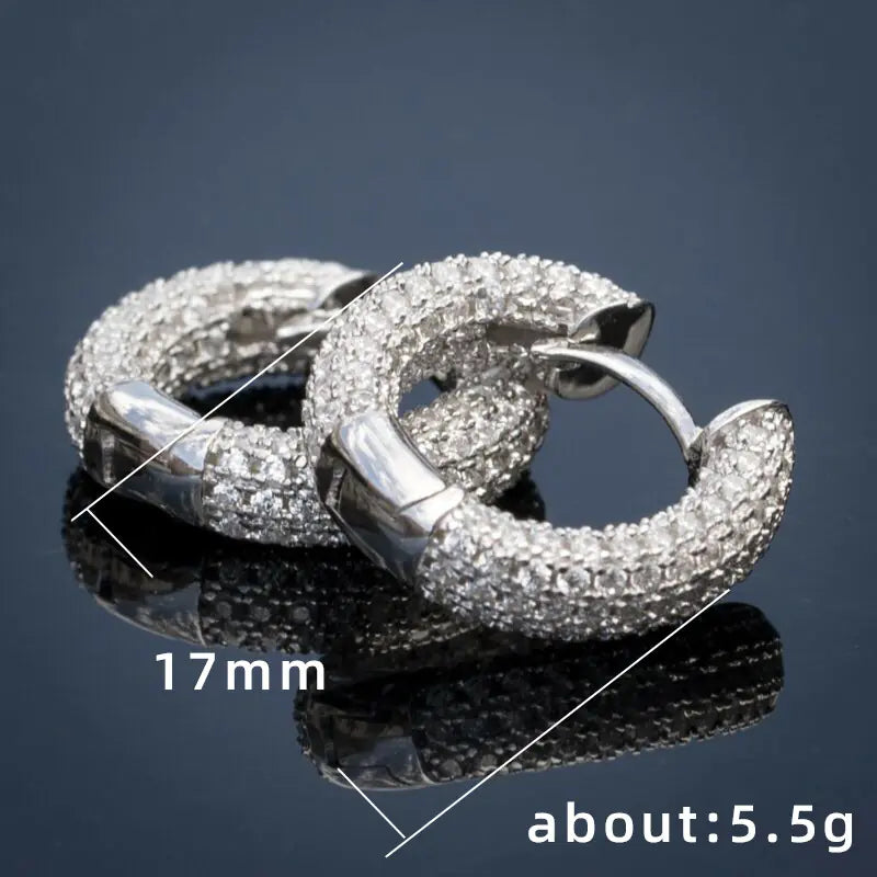 Fashionable Round Zirconia Hoop Earrings for Women