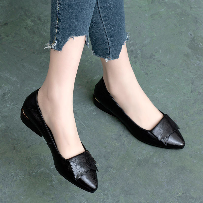 Women's Spring Autumn Pointed Toe Low Heels Soft Shoes