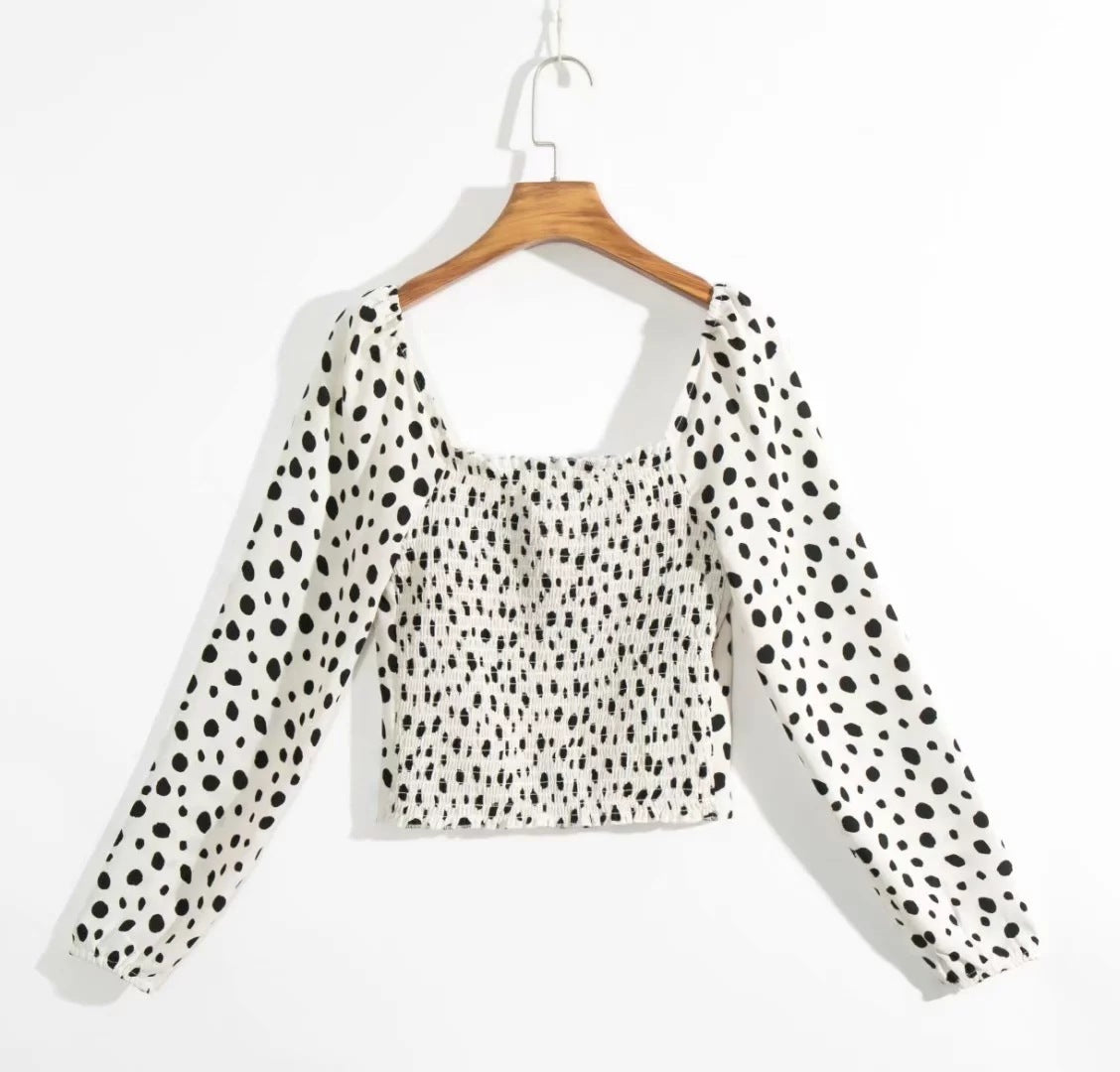Small top slim shirt