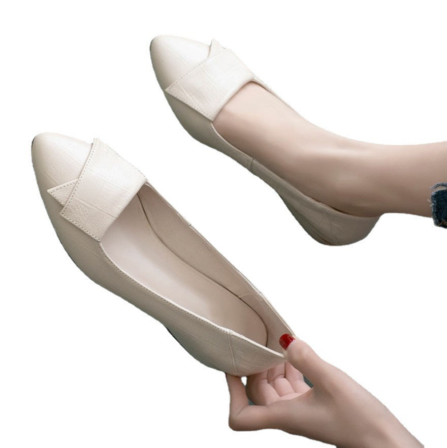 Women's Spring Autumn Pointed Toe Low Heels Soft Shoes