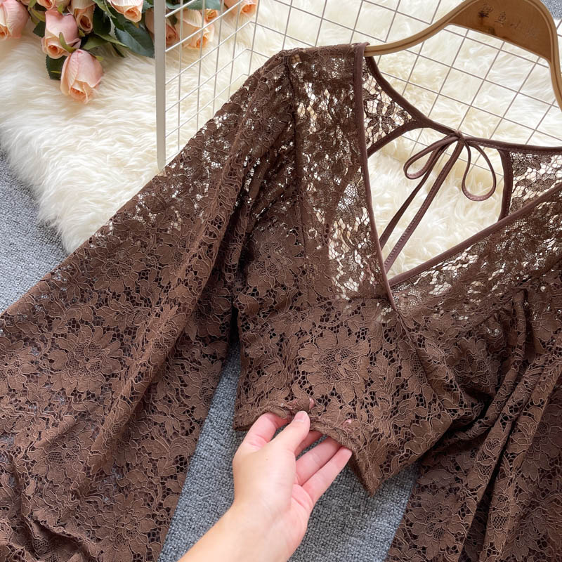 Solid Color Elegant V-Net Lantern Sleeve Lace Top - Sheer Back Tie Detail Women's Fashion Blouse