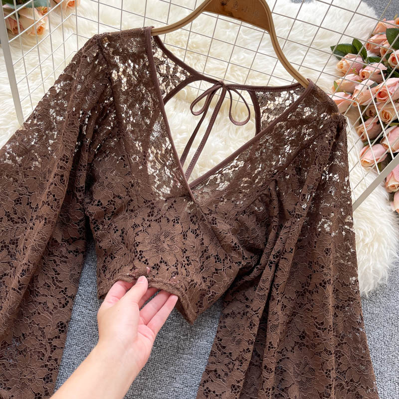 Solid Color Elegant V-Net Lantern Sleeve Lace Top - Sheer Back Tie Detail Women's Fashion Blouse