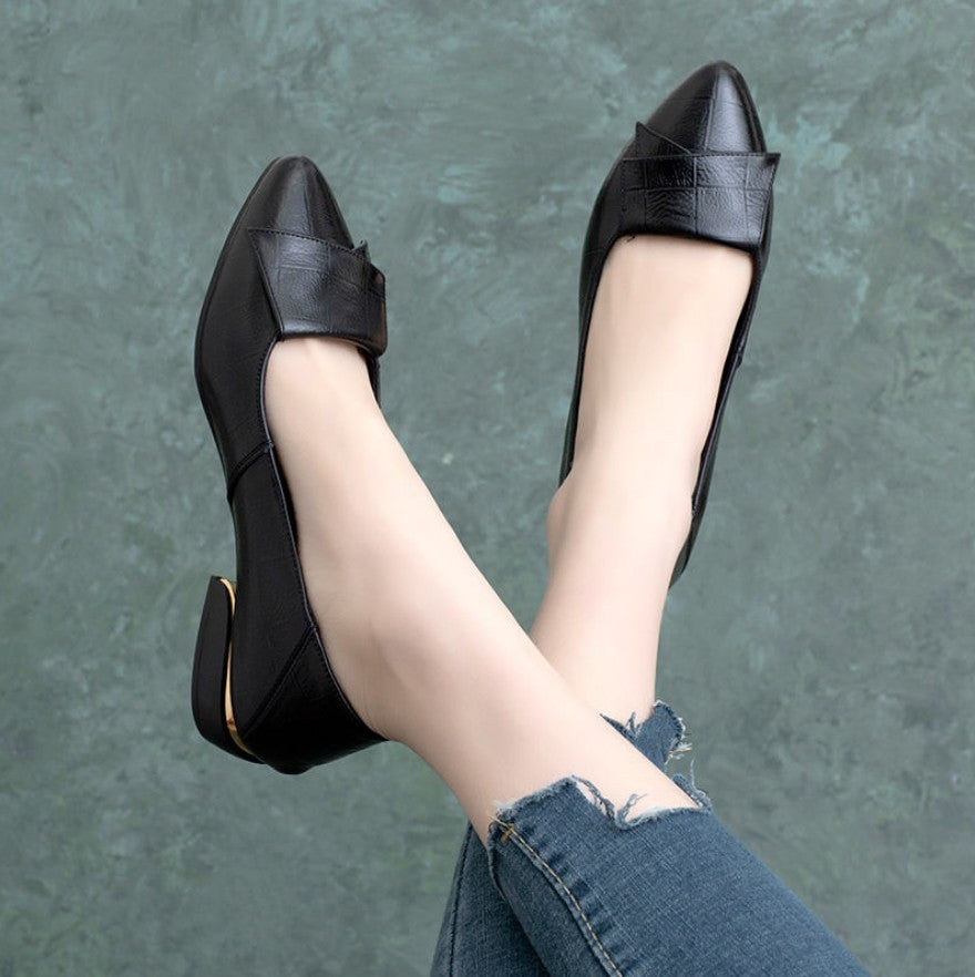 Women's Spring Autumn Pointed Toe Low Heels Soft Shoes