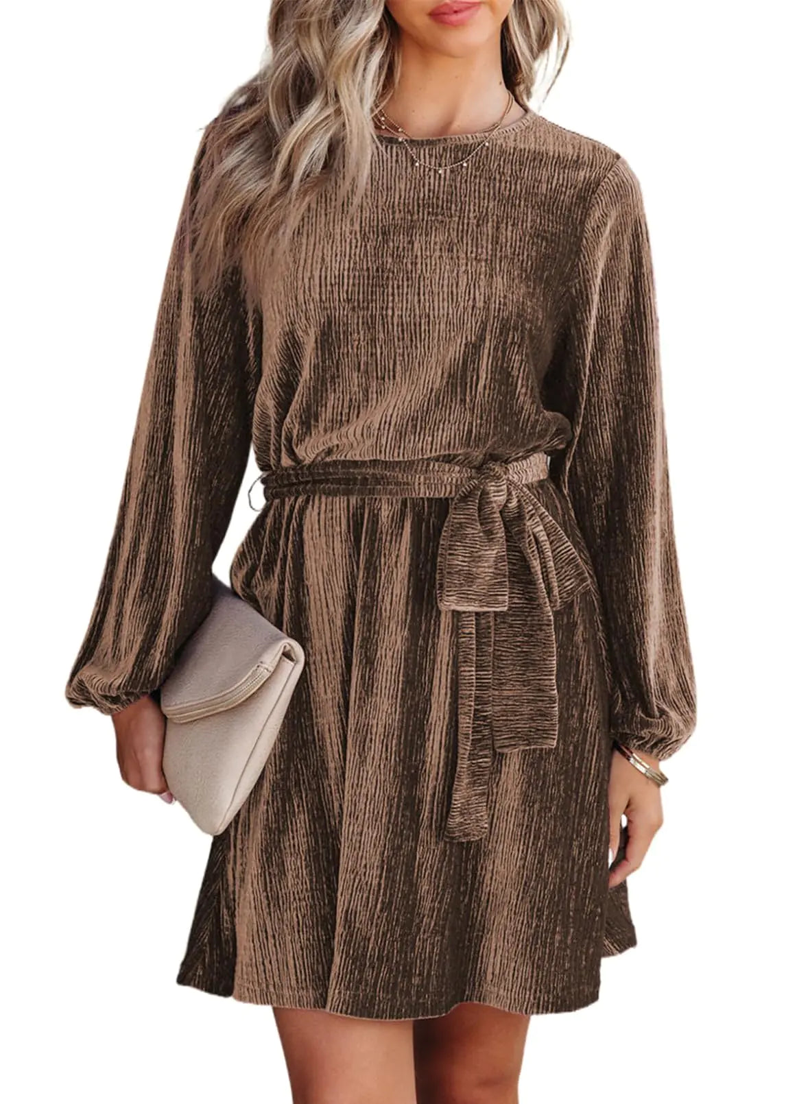 A-Line Skater Elegant Velvet Mini Dress. Tie Waist Spring Fashion Long Sleeve dress