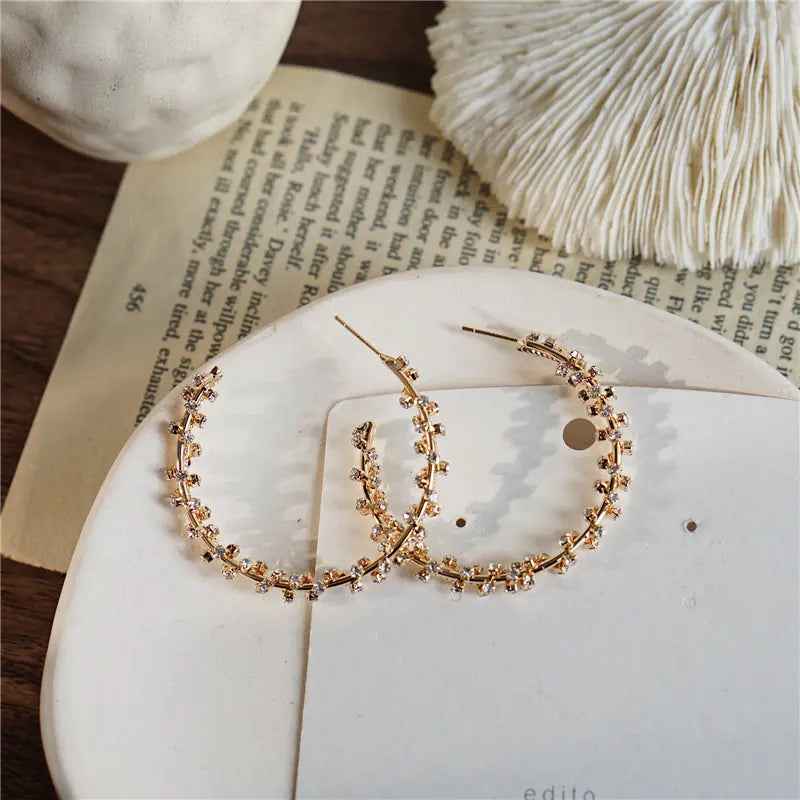 Rhinestone Wrapped Big Earrings for Women