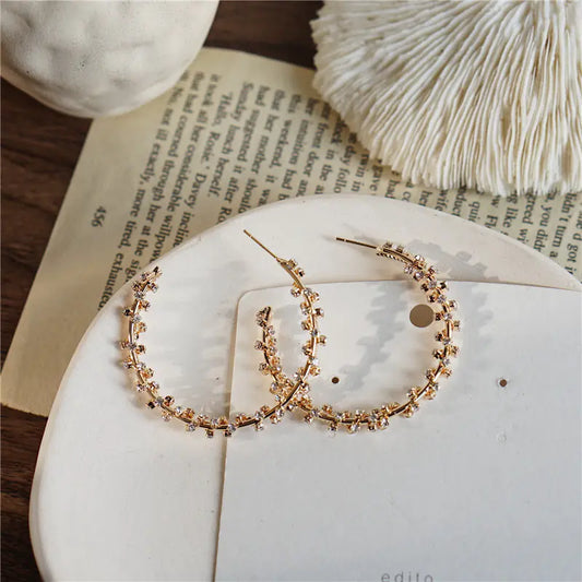 Rhinestone Wrapped Big Earrings for Women