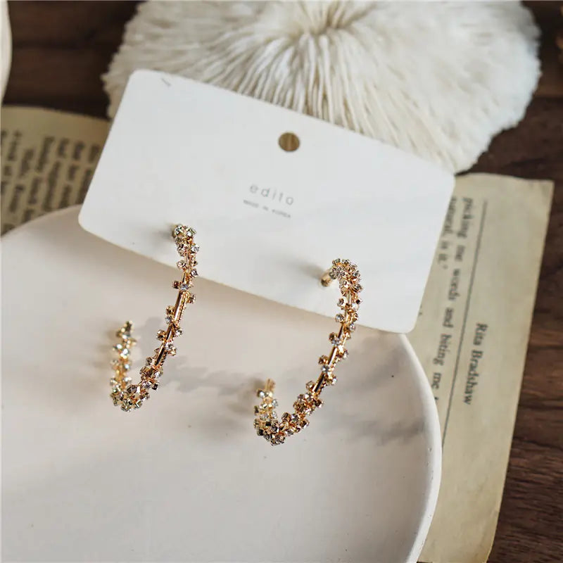Rhinestone Wrapped Big Earrings for Women