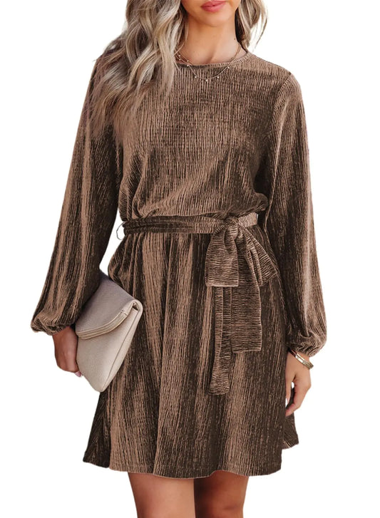 A-Line Skater Elegant Velvet Mini Dress. Tie Waist Spring Fashion Long Sleeve dress