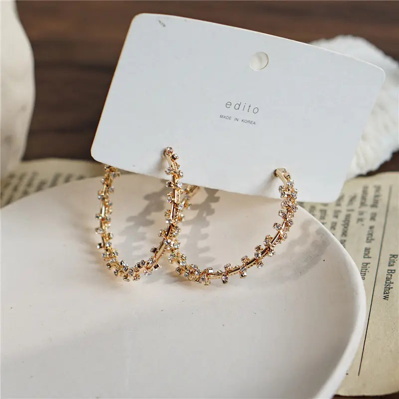 Rhinestone Wrapped Big Earrings for Women